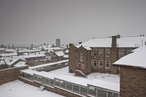 high roydsview from  male chroic block december 27 2010 image 1 sm.jpg